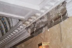 damaged victorian cornice